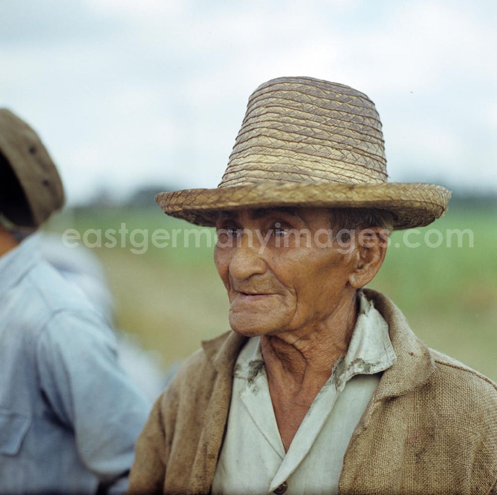 Ciego de Ávila: Die Zuckerrohrernte - die sogenannte Zafra - erfolgt in Kuba noch meist auf traditionelle Weise, hier ein Arbeiter einer Zuckerrohrplantage. Sugar cane harvest, the so-called Zafra, in Cuba.