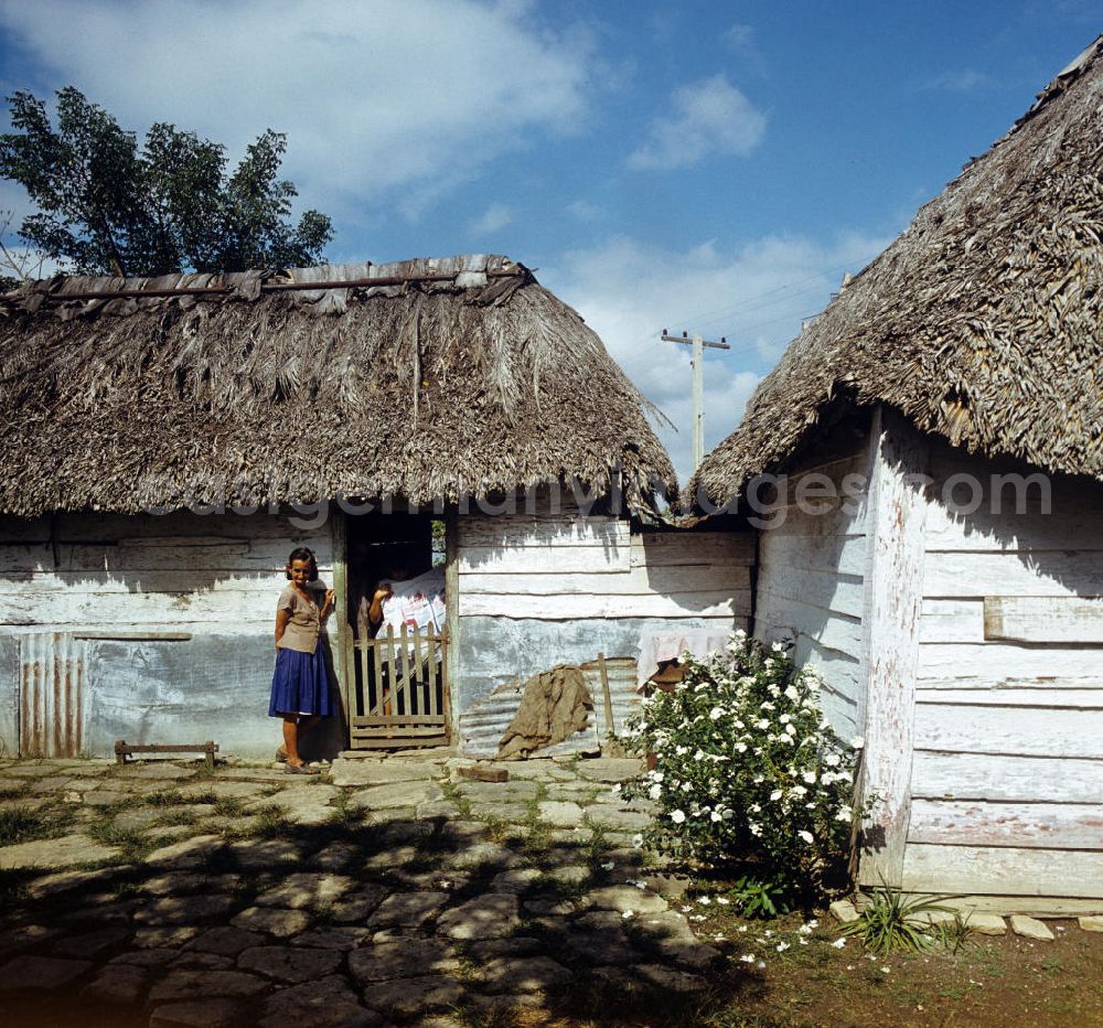 GDR image archive: Ciego de Ávila - Blick auf eine Zuckerrohrplantage - hier die ärmlich wirkenden Behausungen der Landarbeiter in Camagüey - Kuba. Plant area of a Sugar Cane Plantation in Cuba.