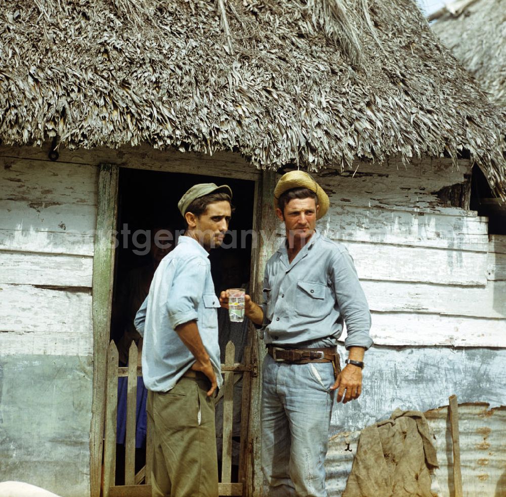GDR image archive: Ciego de Ávila - Blick auf eine Zuckerrohrplantage - hier machen zwei Arbeiter vor den ärmlich wirkenden Behausungen eine Pause in Camagüey - Kuba. Plant area of a Sugar Cane Plantation in Cuba.