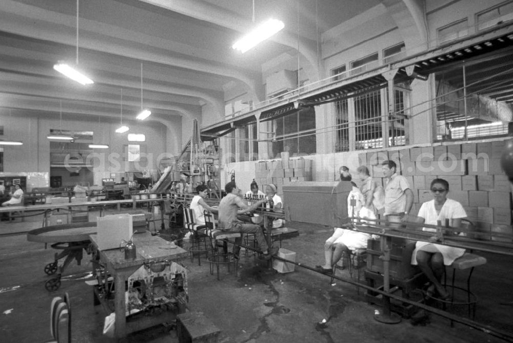 GDR image archive: Santiago de Cuba - Arbeiter am Fließband in einer Rumfabrik in Santiago de Cuba.