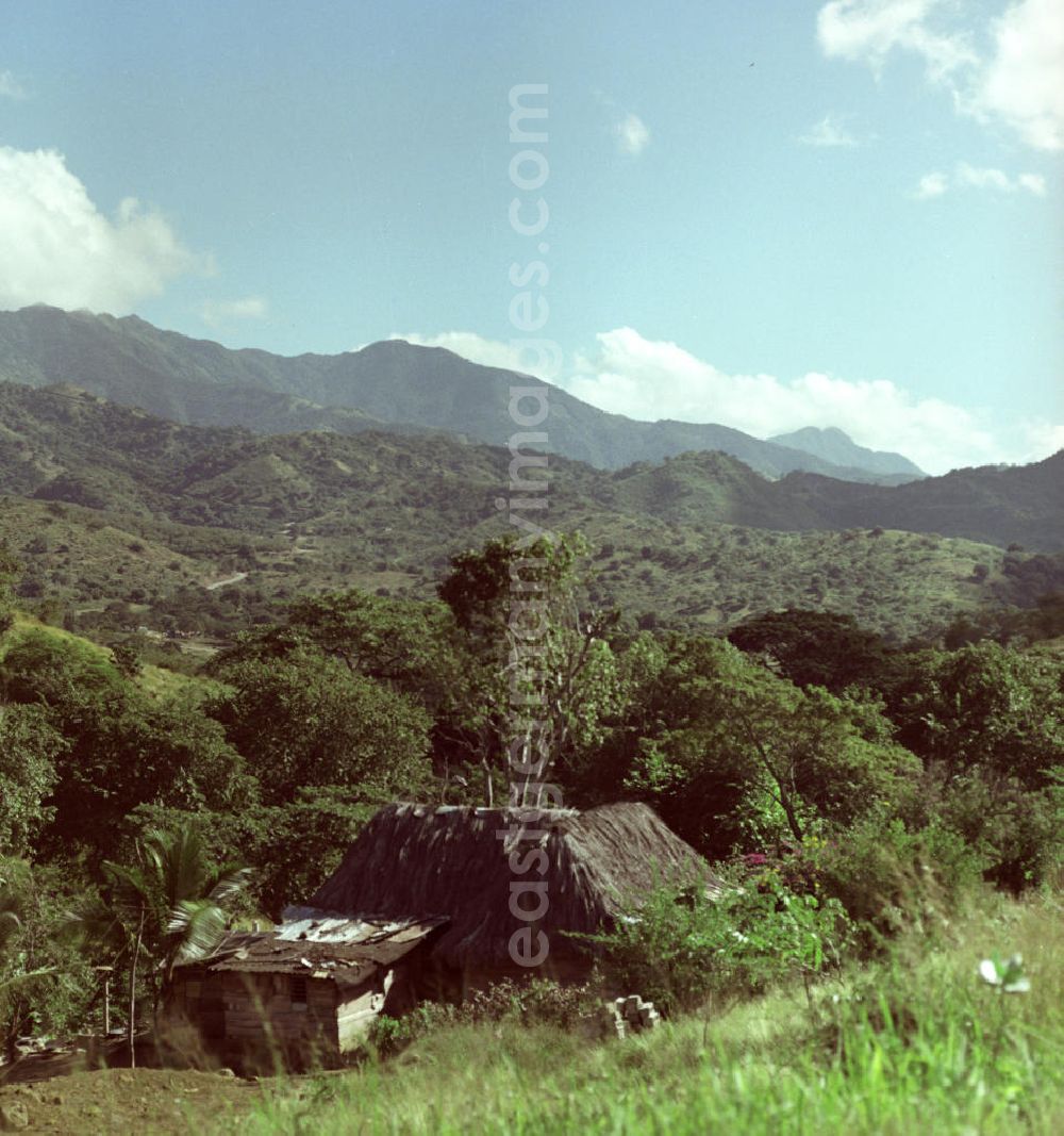 GDR picture archive: Mayarí - Blick auf ärmlich wirkende Hütten im kubanischen Nationalpark Sierra Cristal.