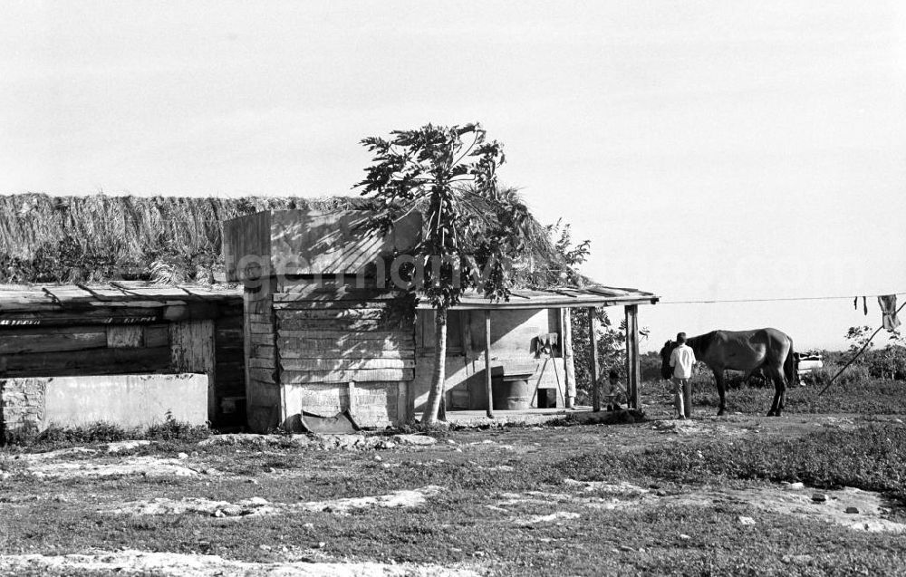 Varadero: Blick auf eine ärmliche Hütte bei Varadero.
