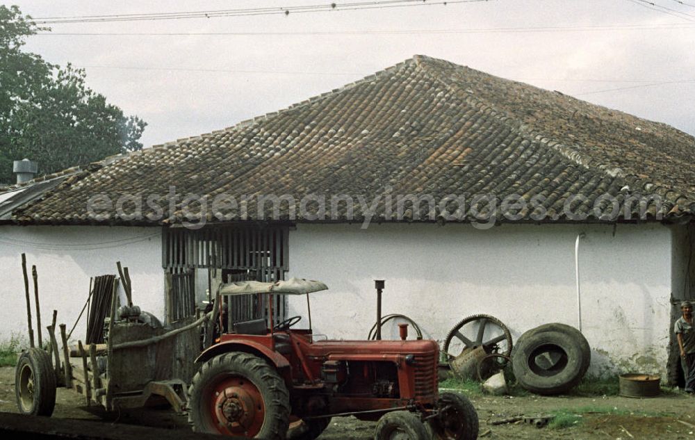 GDR image archive: Cienfuegos - Blick auf eine Plantage nahe der Zuckerfabrik in Cienfuegos. In den 60er und 7