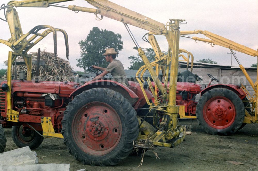 Cienfuegos: Allmählich hält die Technik Einzug in die traditionelle Zuckerrohrernte, die sogenannte Zafra, in Kuba - hier Traktoren, mit deren Hilfe das per Hand geschnittene Rohr auf dem Feld für den Abtransport auf die Wagen geladen wird. In den 60er und 7