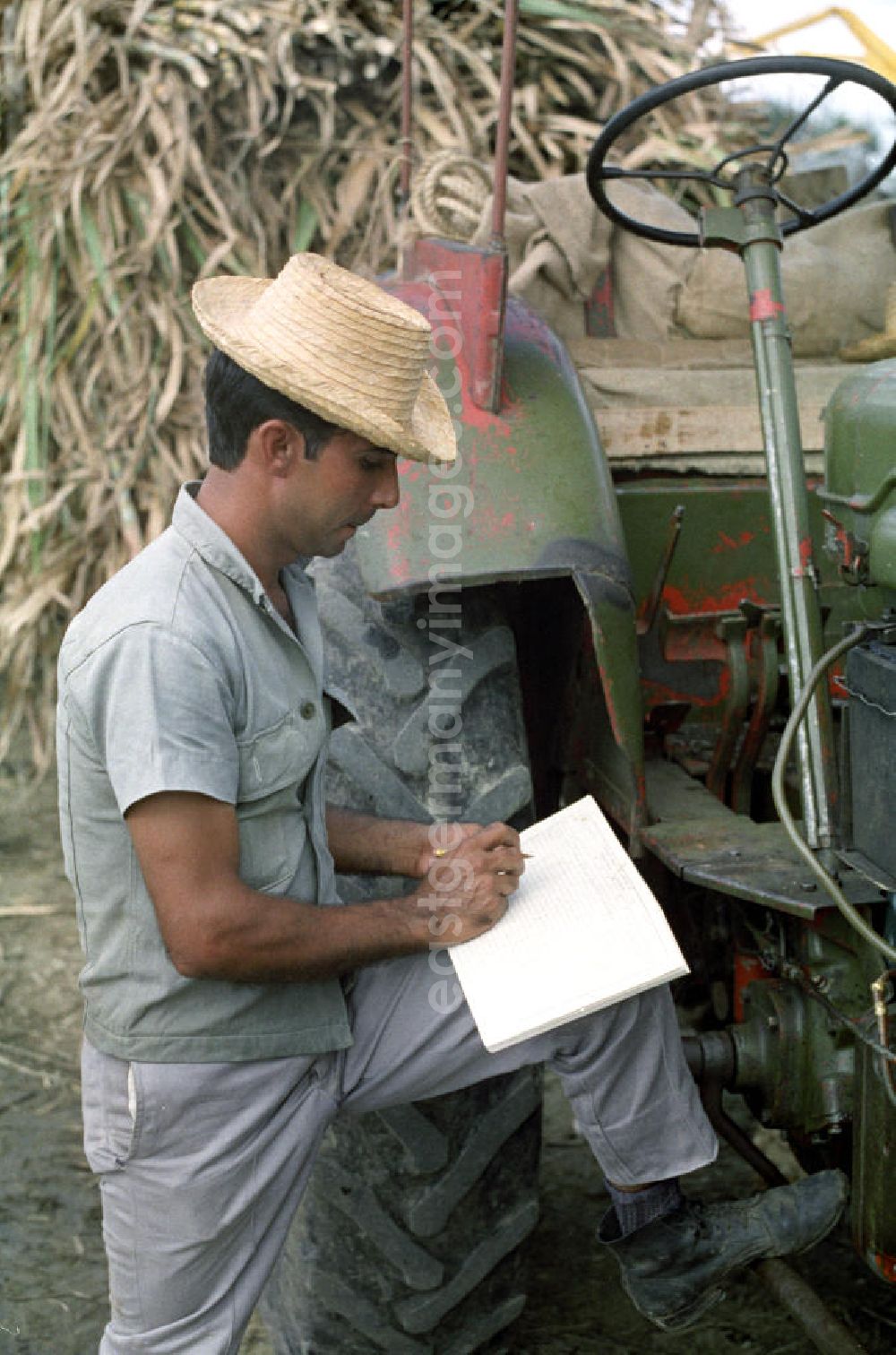 GDR photo archive: Cienfuegos - Kontrolle des Ernteertrages bei der Zuckerrohrernte - die sogenannte Zafra - in Kuba. In den 60er und 7