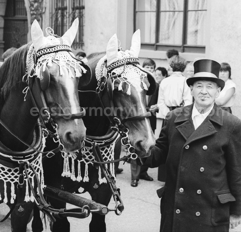 GDR picture archive: Eisenach - Kutscher with Top Hat and Cigar with two decorated horses in Eisenach in Thuringia in the area of the former GDR, German Democratic Republic