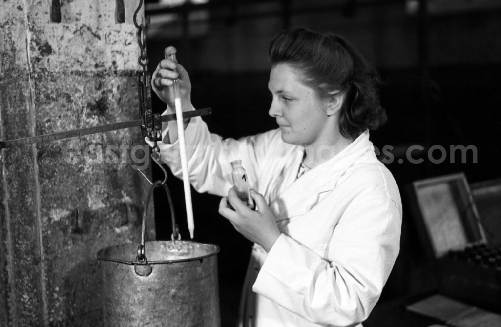 Dresden: Laboratory assistant in a white coat takes milk for a food sample from a bucket in an publicly owned property animal breeding in Pillnitz in Dresden in the state Saxony on the territory of the former GDR, German Democratic Republic
