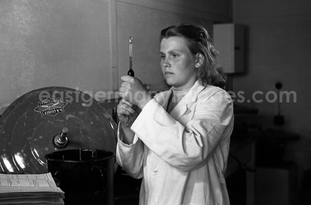 GDR photo archive: Dresden - Laboratory assistant in a white coat draws up liquid in a pipette in an publicly owned property animal breeding in Pillnitz in Dresden in the state Saxony on the territory of the former GDR, German Democratic Republic