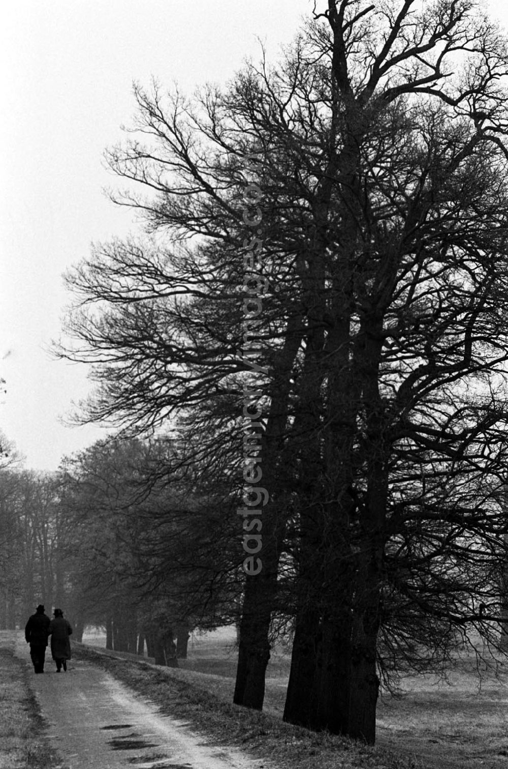 GDR picture archive: unbekannt - Landschaften 29.12.92