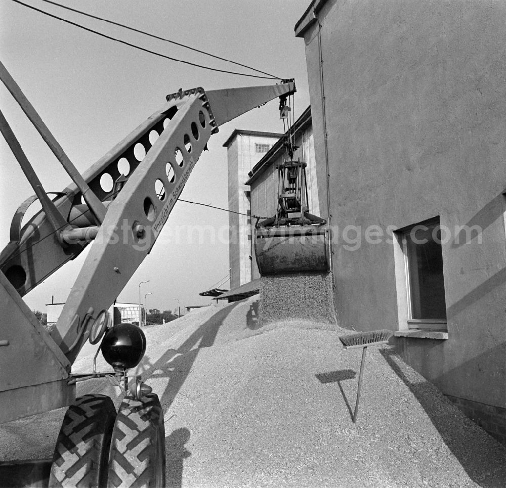 GDR picture archive: Gangloffsömmern - LPG Agricultural Production Cooperative Gangloffsoemmern District of Soemmerda in the Federal State of Thuringia on the territory of the former GDR, German Democratic Republic