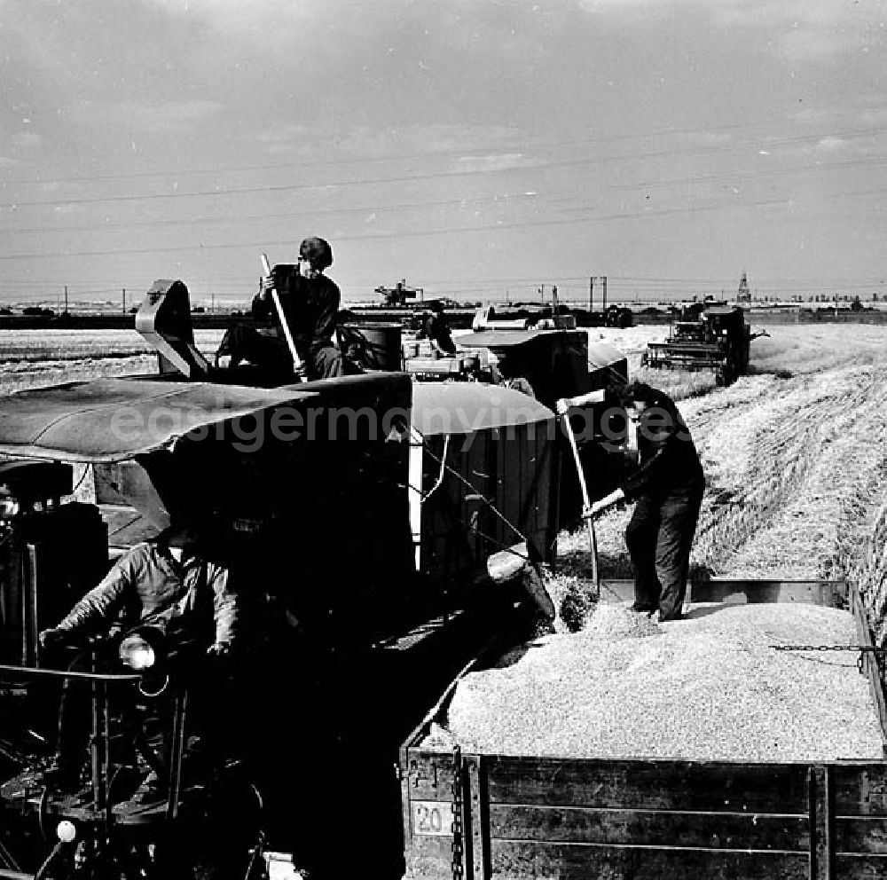 GDR photo archive: Schenkenberg/ Delitzsch - 10.07.1967 Landwirtschaftliche Produktionsgenossenschaft 7 Oktober in Schenkenberg/ Delitzsch Mähdrescher (Gerste) 38 ha Umschlagnr.: 1