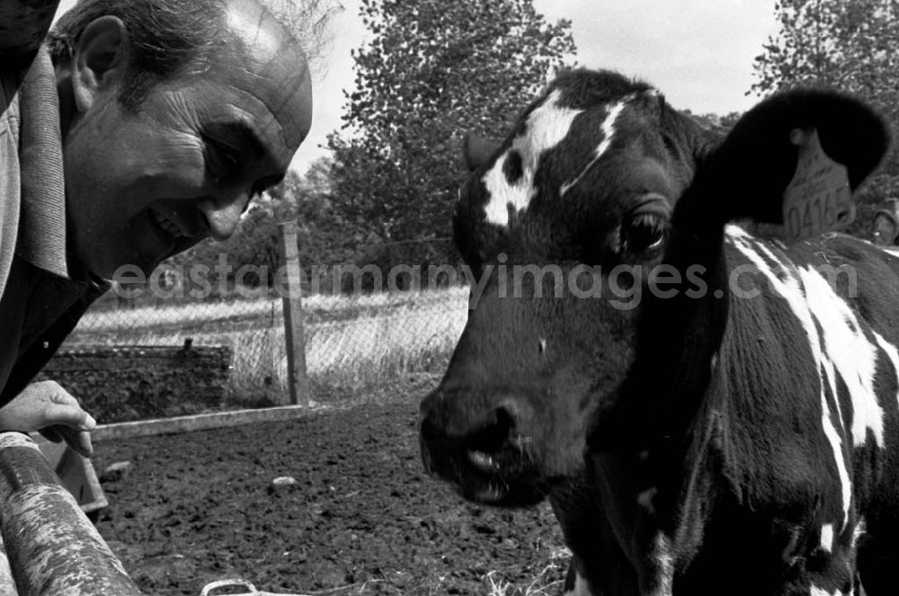 GDR photo archive: Demmin - Landwirtschaftsreportagen im Kreis Demmin 5.8. 92 Lange Umschlag 109