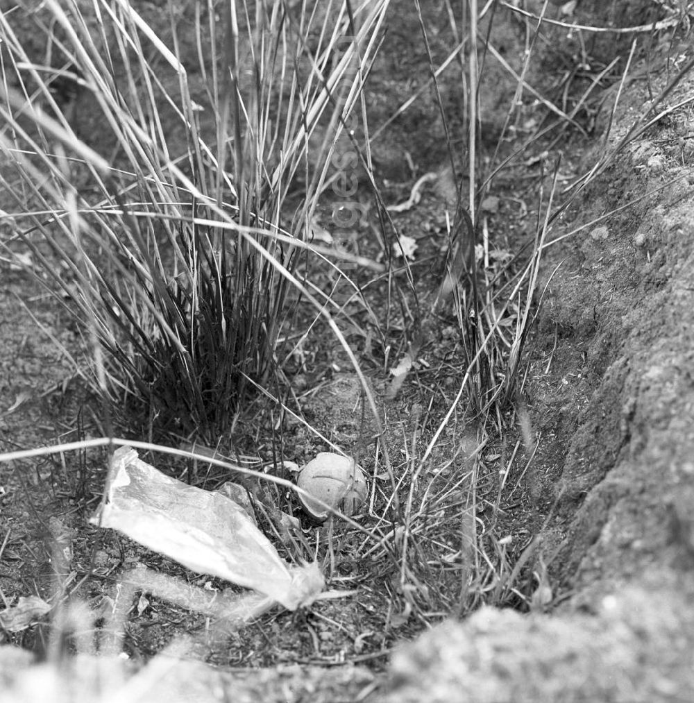GDR image archive: Xieng Khouang - Bombe auf einem Feld auf der sogenannten Ebene der Tonkrüge in der Provinz Xieng Khouang in der Demokratischen Volksrepublik Laos. Im Rahmen des Vietnam-Krieges war die Provinz Xieng Khouang von den Amerikanischen Streitkräften massiv bombardiert worden. Einige Gebiete sind bis heute nicht geräumt und daher unzugänglich.