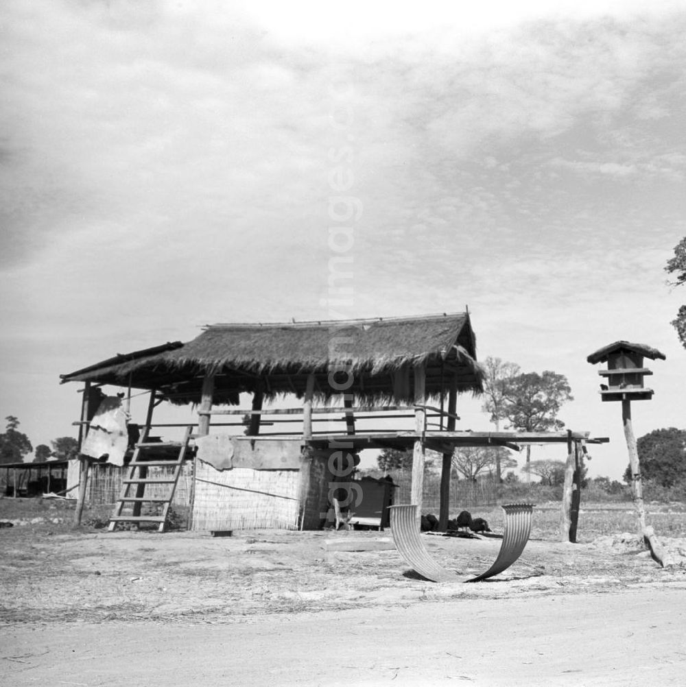 GDR image archive: Vientiane - Hütte in einem Dorf in der Demokratischen Volksrepublik Laos.