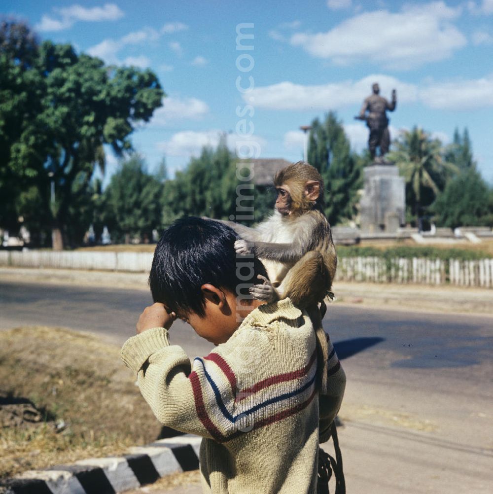 GDR photo archive: Vientiane - Ein Affe sitzt auf der Schulter eines Jungen und laust ihn auf einer Straße in Vientiane in der Demokratischen Volksrepublik Laos.