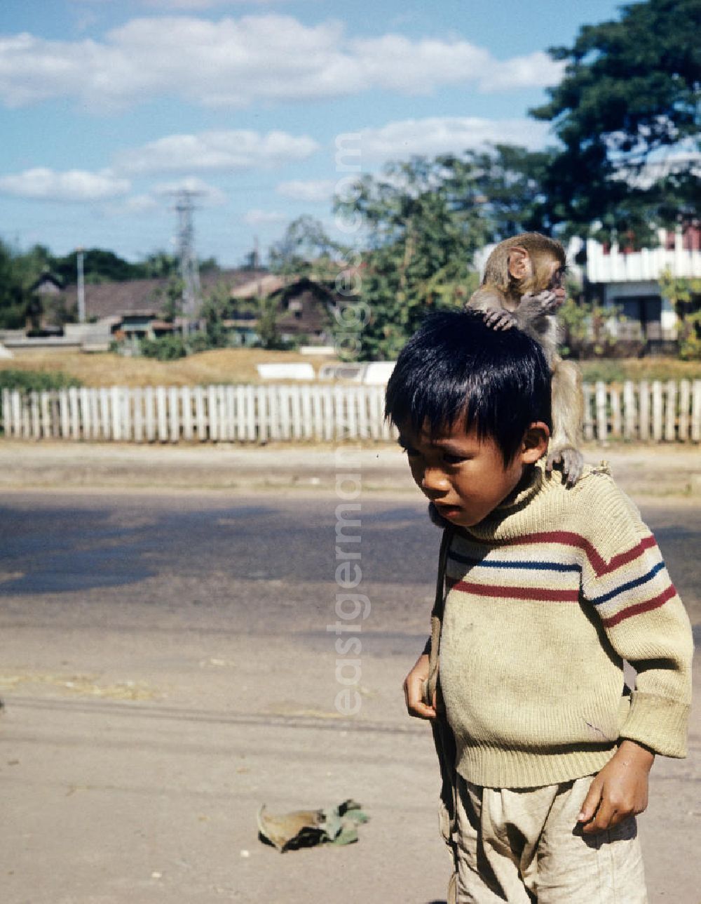 GDR picture archive: Vientiane - Ein Junge spielt mit einem Affen als Haustier auf einer Straße in Vientiane in der Demokratischen Volksrepublik Laos.