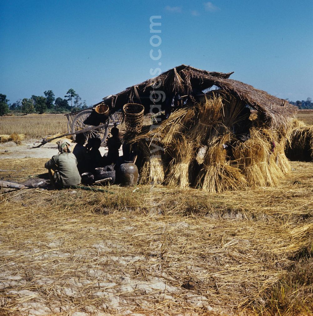 GDR picture archive: Vientiane - Frauen und Männer machen eine Pause im Schatten einer Hütte während der Reisernte auf einem Feld in der Demokratischen Volksrepublik Laos.