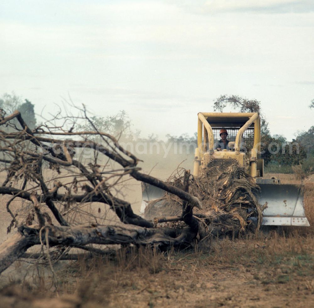 GDR image archive: Ang Nam Ngum - Einsatz von US-amerikanischen Baumaschinen, hier eine Planierraupe der US-amerikanischen Firma Caterpillar, für den Straßenbau in der Demokratischen Volksrepublik Laos.