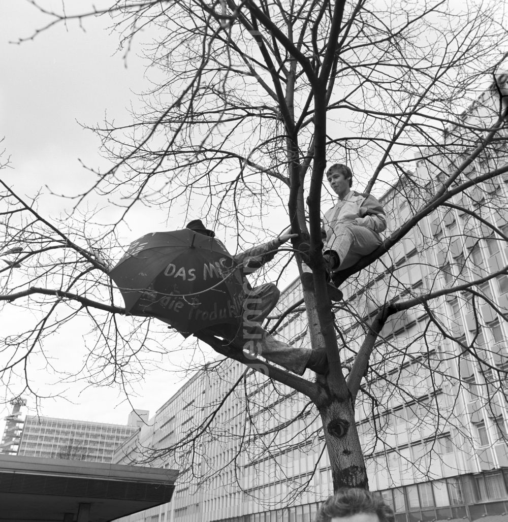 GDR picture archive: Berlin - Protesters sit with a screen in a tree during the big demonstration at Alexanderplatz. On 4 November 1989 came on the Alexanderplatz in Berlin with about a million subscribers to the largest demonstration in the history of the GDR