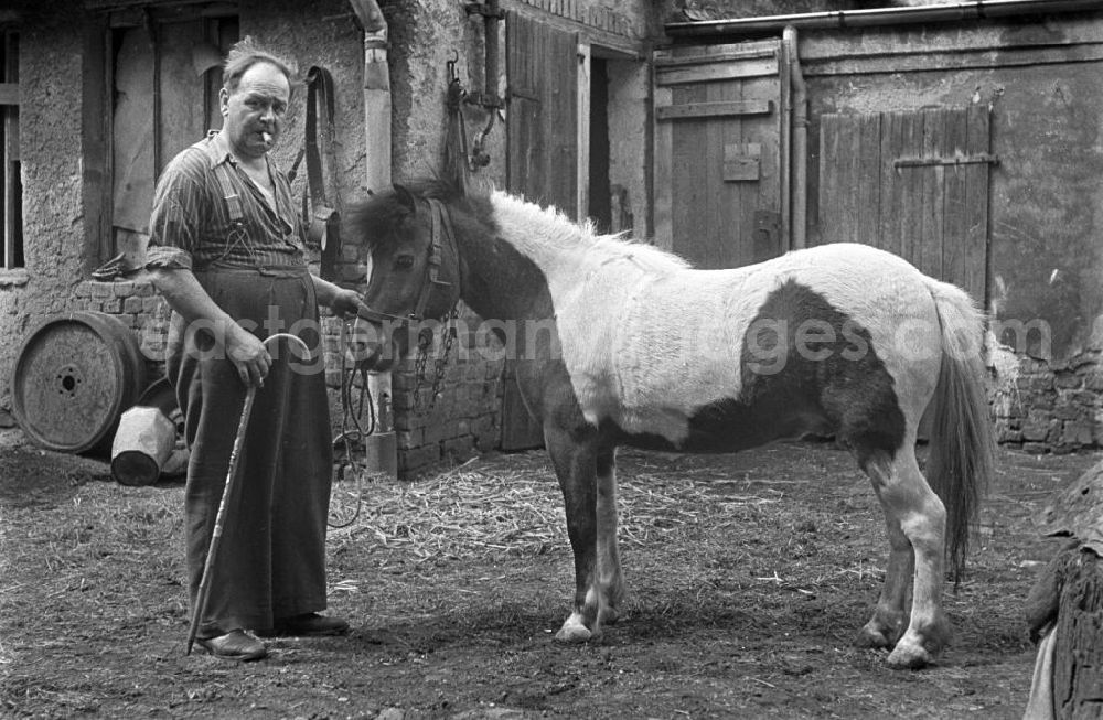 GDR picture archive: Leipzig - Ein Mann steht mit seinem Pony auf einem verfallenen Hof in Leipzig.