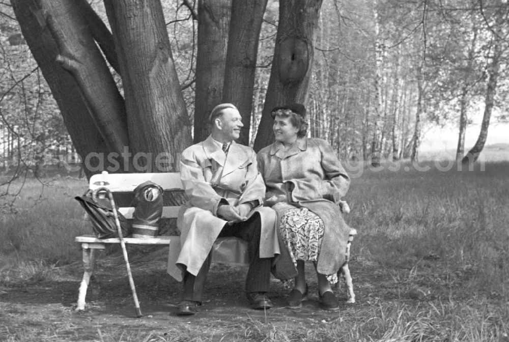 GDR image archive: Leipzig - Ein älteres Paar sitzt auf einer Bank in einem Park in Leipzig und lächelt sich an.