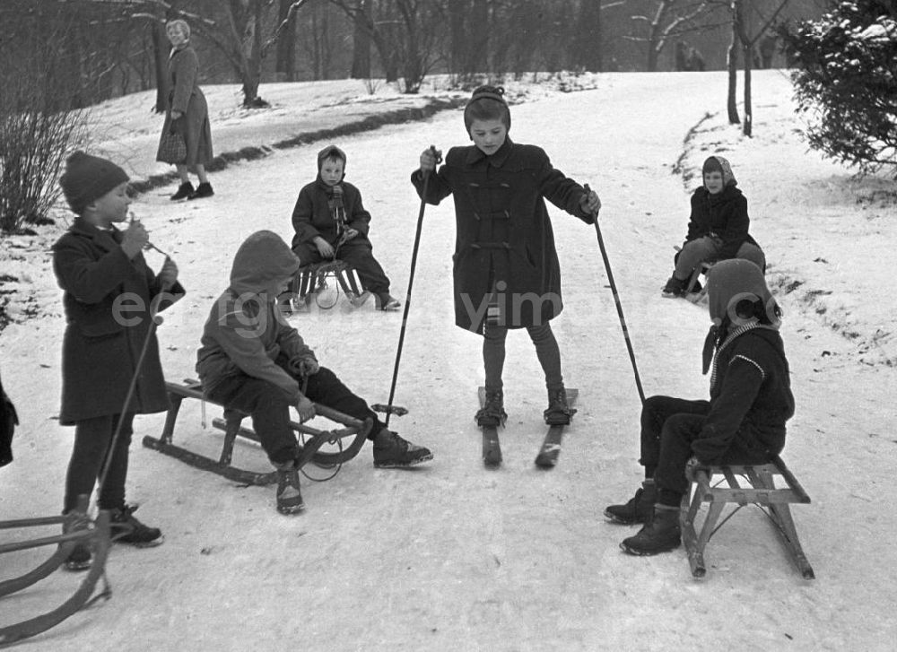 GDR picture archive: Leipzig - Von den anderen Kindern mit Schlitten bestaunt, fährt ein Mädchen auf ihren Skiern im Clara-Zetkin-Park den Hügel hinunter.