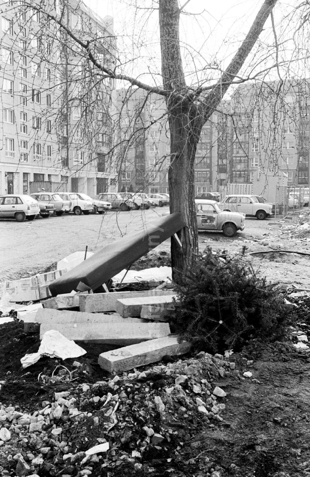 GDR photo archive: - Liege am Baum und Tannenbaum Berlin Otto-Grotewohlstraße Umschlagnummer: 7239
