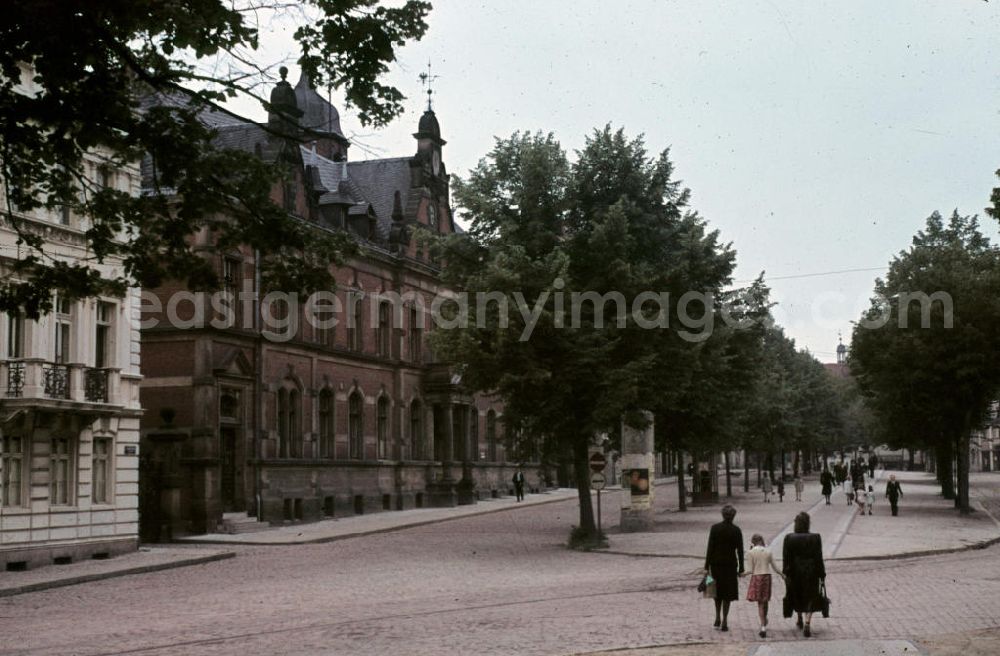 GDR photo archive: Naumburg - Spaziergang auf dem Lindenring. Walk of the street Lindenring.