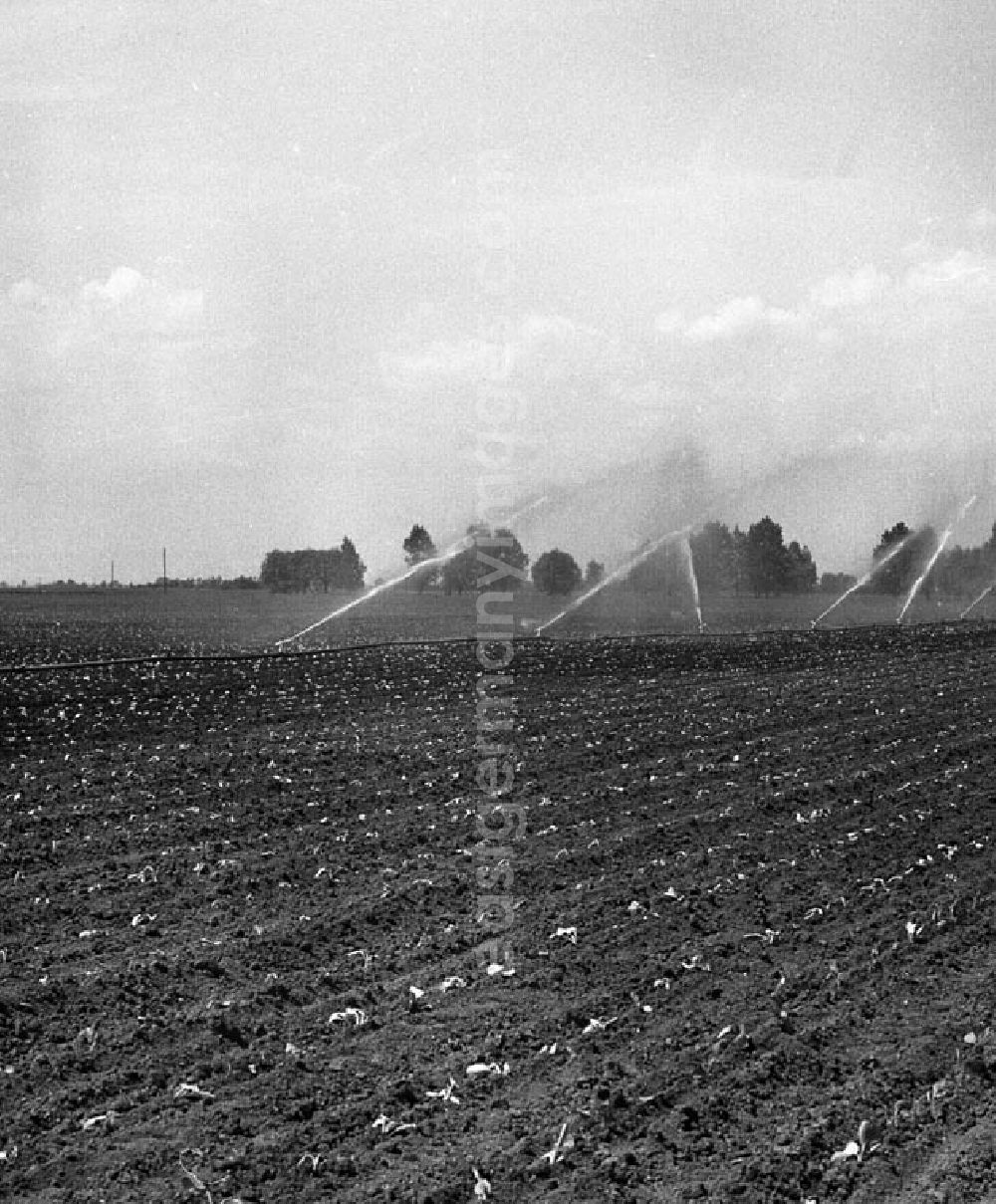GDR photo archive: Golzow - Landwirtschaftliche Produktionsgenossenschaft Melioration (Bodenbewässerung) bei der LPG - Einheit in Golzow.