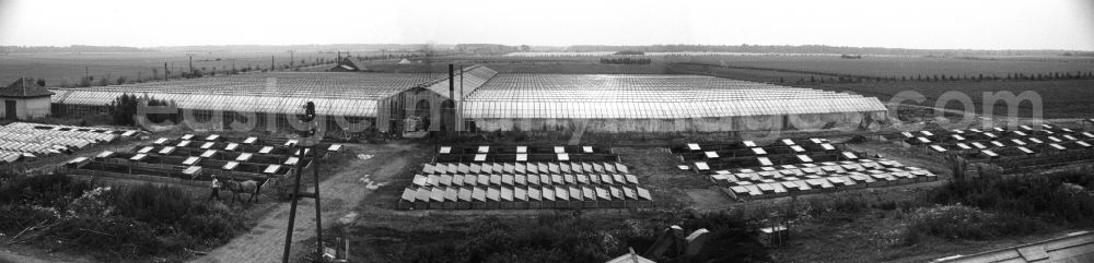 GDR image archive: Trinwillershagen - Panorama of the greenhouses of the German Agricultural Production Cooperative LPG Rotes Banner in Trinwillershagen in Mecklenburg-Western Pomerania