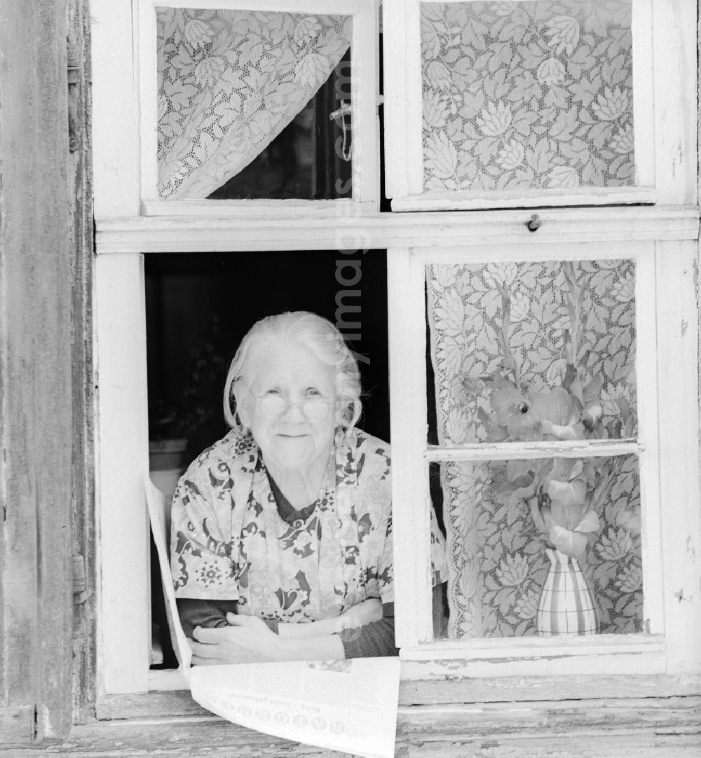 Quedlinburg: Mature woman with coat apron and glasses looks out of a window in Quedlinburg in the state of Saxony-Anhalt on the territory of the former GDR, German Democratic Republic
