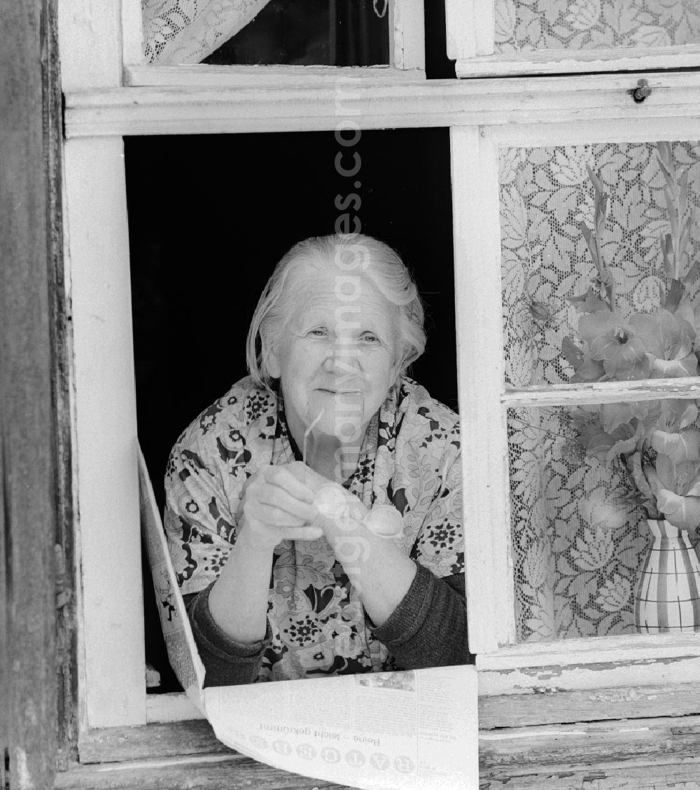 GDR photo archive: Quedlinburg - Mature woman with coat apron and glasses looks out of a window in Quedlinburg in the state of Saxony-Anhalt on the territory of the former GDR, German Democratic Republic