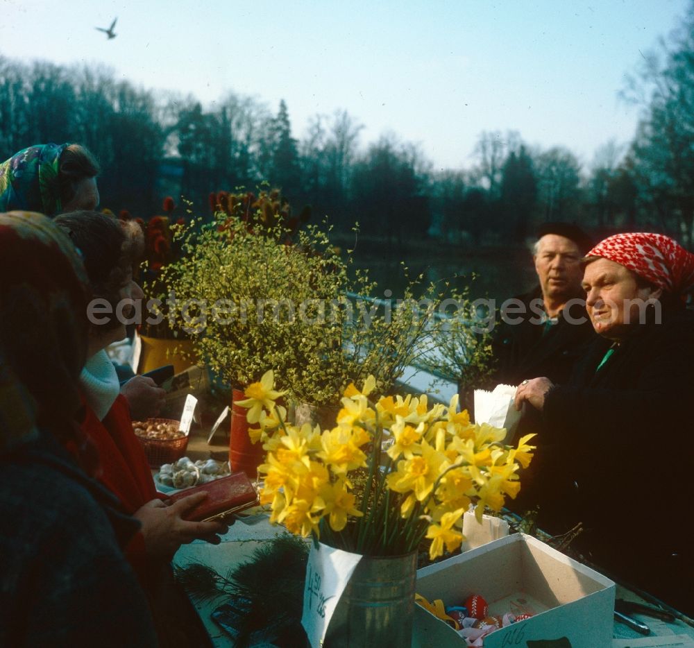 GDR picture archive: Hoppegarten - Older women selling home-grown flowers at a market in Hoppegarten in the state of Brandenburg on the territory of the former GDR, German Democratic Republic