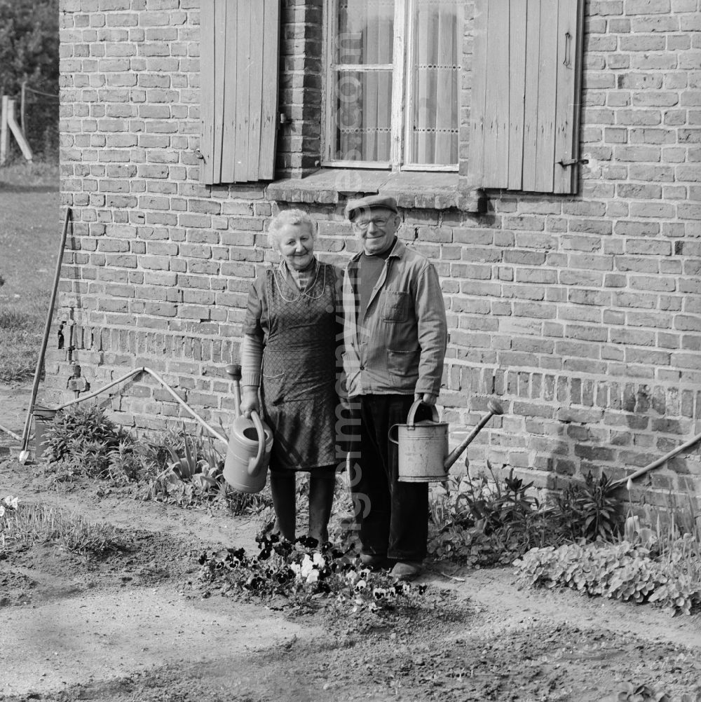 Pasewalk: Mature couple with watering can in her garden in Pasewalk in today's State of Mecklenburg-Western Pomerania