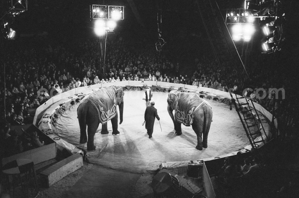 GDR image archive: Berlin - Manege a circus in Berlin, the former capital of the GDR, the German Democratic Republic. Here the appearance of circus animals