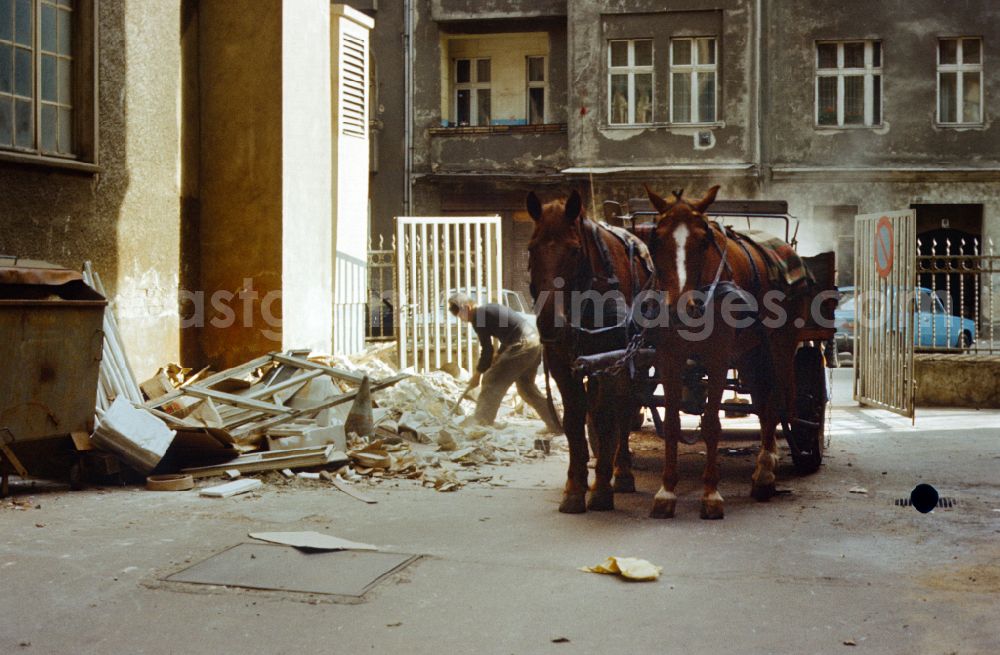 Berlin: Man clears rubble from a driveway with a horse-drawn cart in East Berlin in the territory of the former GDR, German Democratic Republic