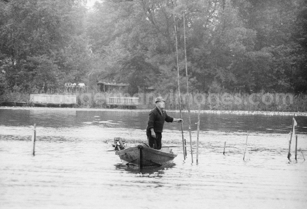 Grünheide (Mark): Man by boat with fish on the Stoeritzsee in green moor (mark) in the federal state Brandenburg in the area of the former GDR, German democratic republic