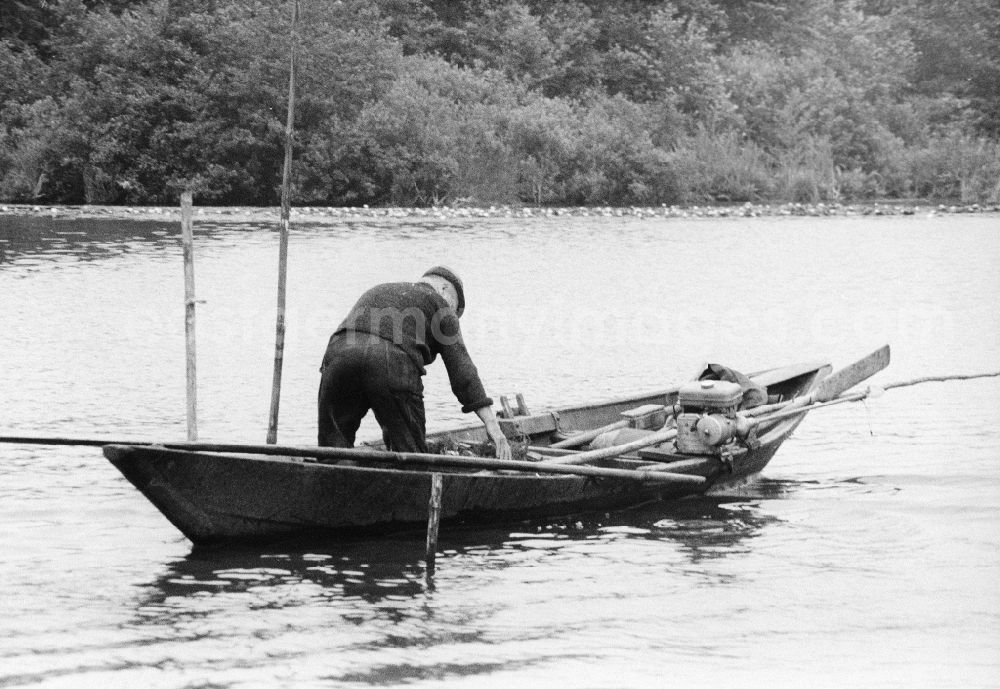 GDR image archive: Grünheide (Mark) - Man by boat with fish on the Stoeritzsee in green moor (mark) in the federal state Brandenburg in the area of the former GDR, German democratic republic