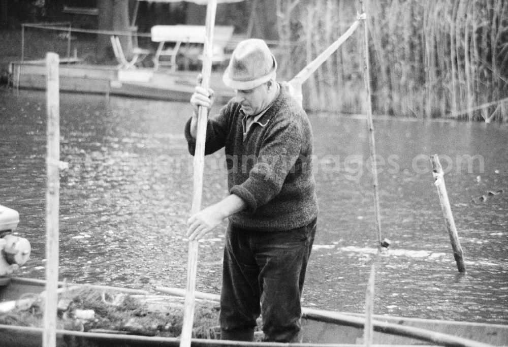 GDR photo archive: Grünheide (Mark) - Man by boat with fish on the Stoeritzsee in green moor (mark) in the federal state Brandenburg in the area of the former GDR, German democratic republic
