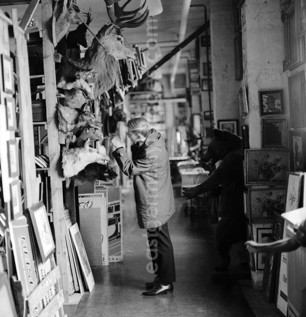 GDR photo archive: Berlin - Man in a purchase and sale business in Berlin, the former capital of the GDR, the German Democratic Republic