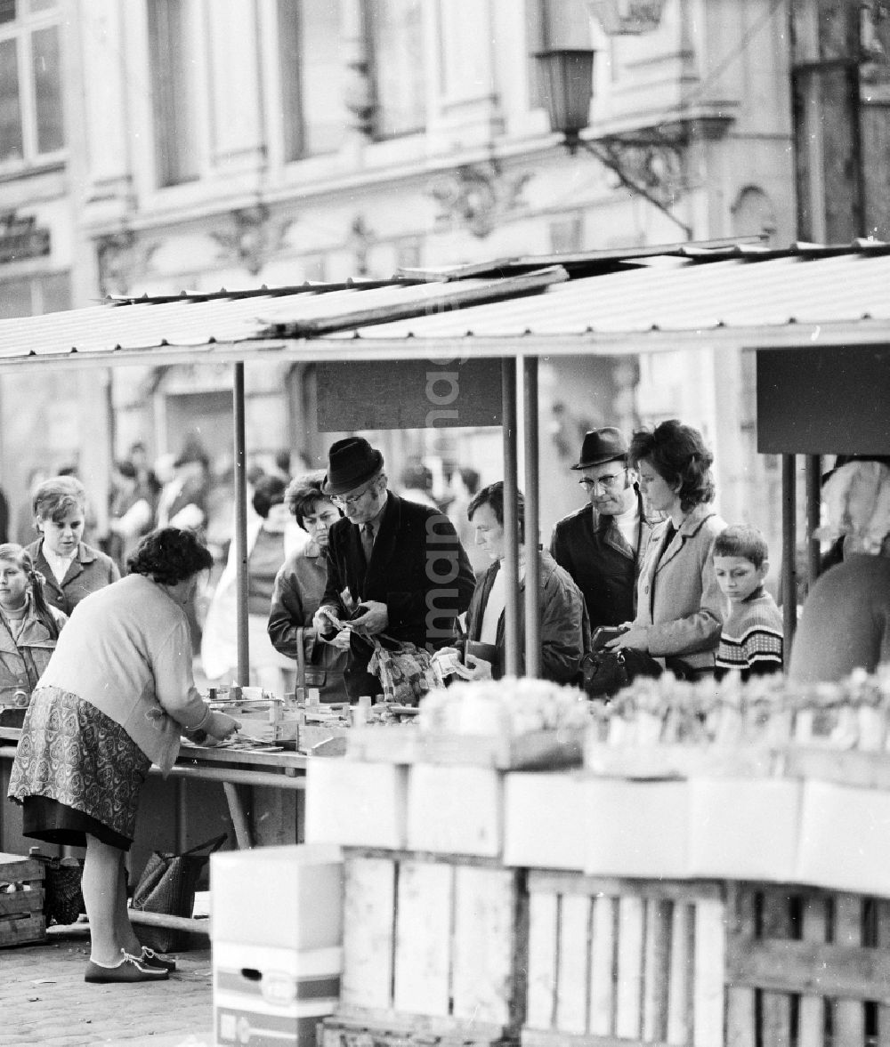 Arnstadt: Market stall with flower seed and bulb at the weekly market in Arnstadt in the federal state Thuringia in the area of the former GDR, German democratic republic