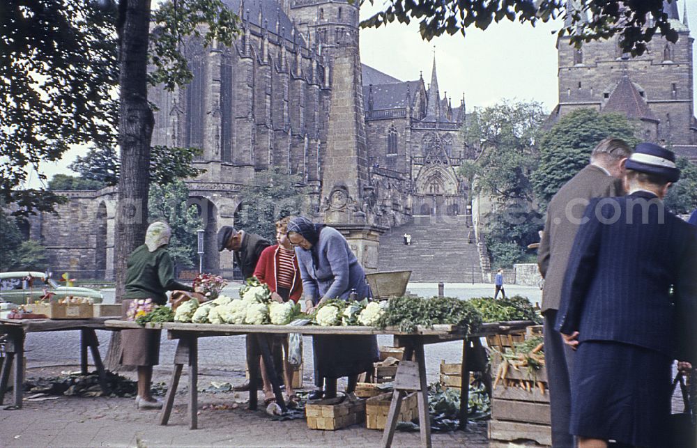GDR picture archive: Erfurt - Sellers present their goods to customers on the tables of their market stallauf dem Domplatz in the district Altstadt in Erfurt, Thuringia on the territory of the former GDR, German Democratic Republic