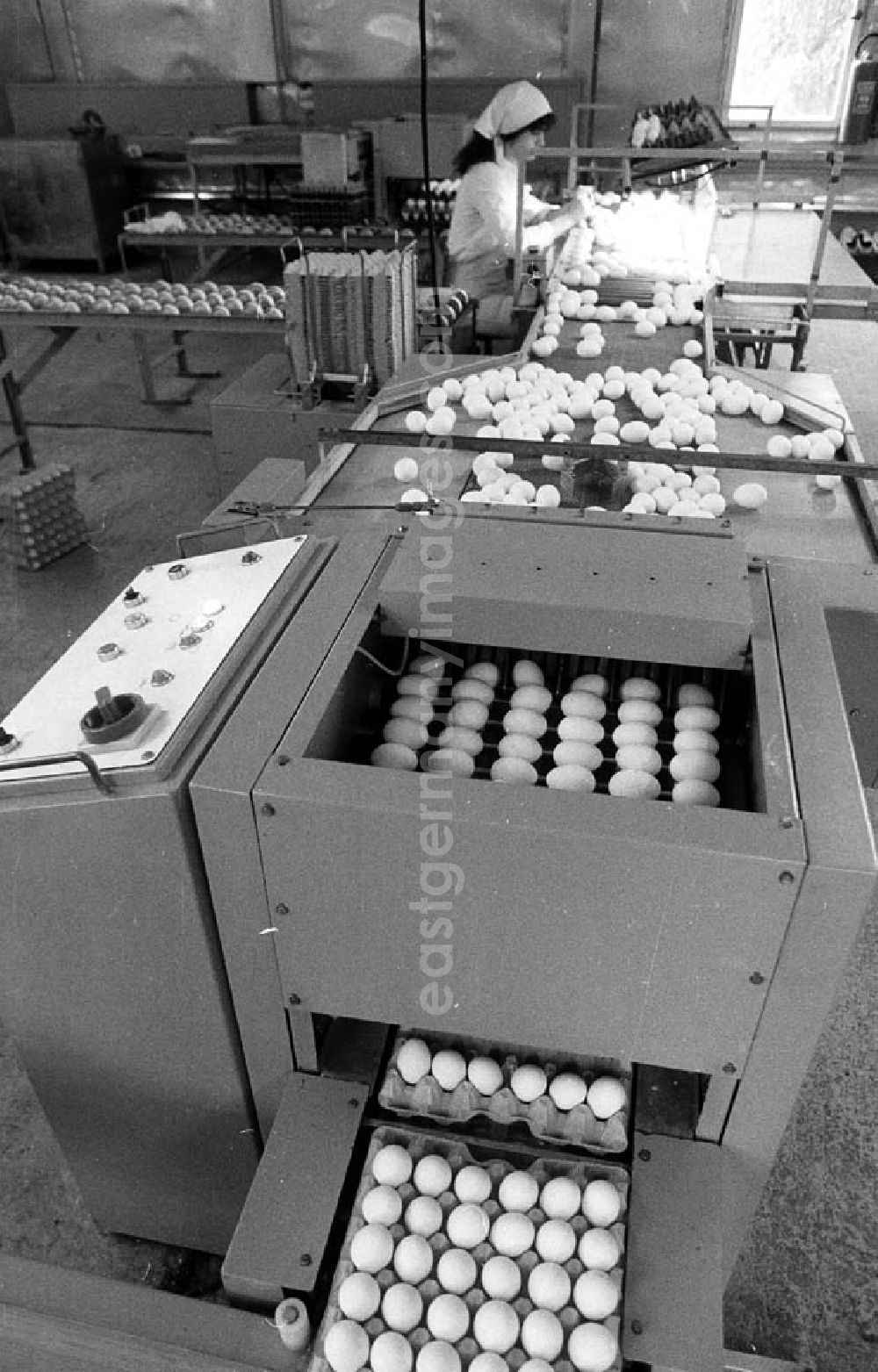 GDR picture archive: - 23.10.1985 Maschine für die Verpackung von Eiern Umschlagnr.: 11