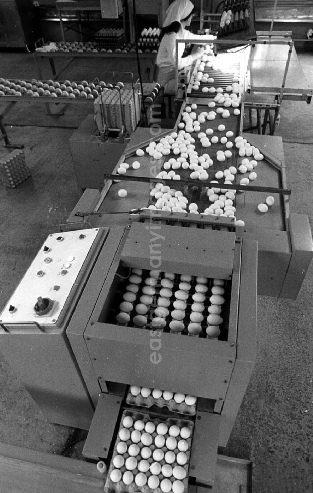 : 23.10.1985 Maschine für die Verpackung von Eiern Umschlagnr.: 11