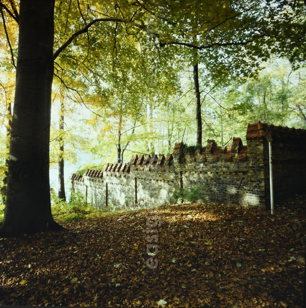 GDR photo archive: Potsdam - Course of the wall structure of a villa plot in Potsdam in the state Brandenburg on the territory of the former GDR, German Democratic Republic