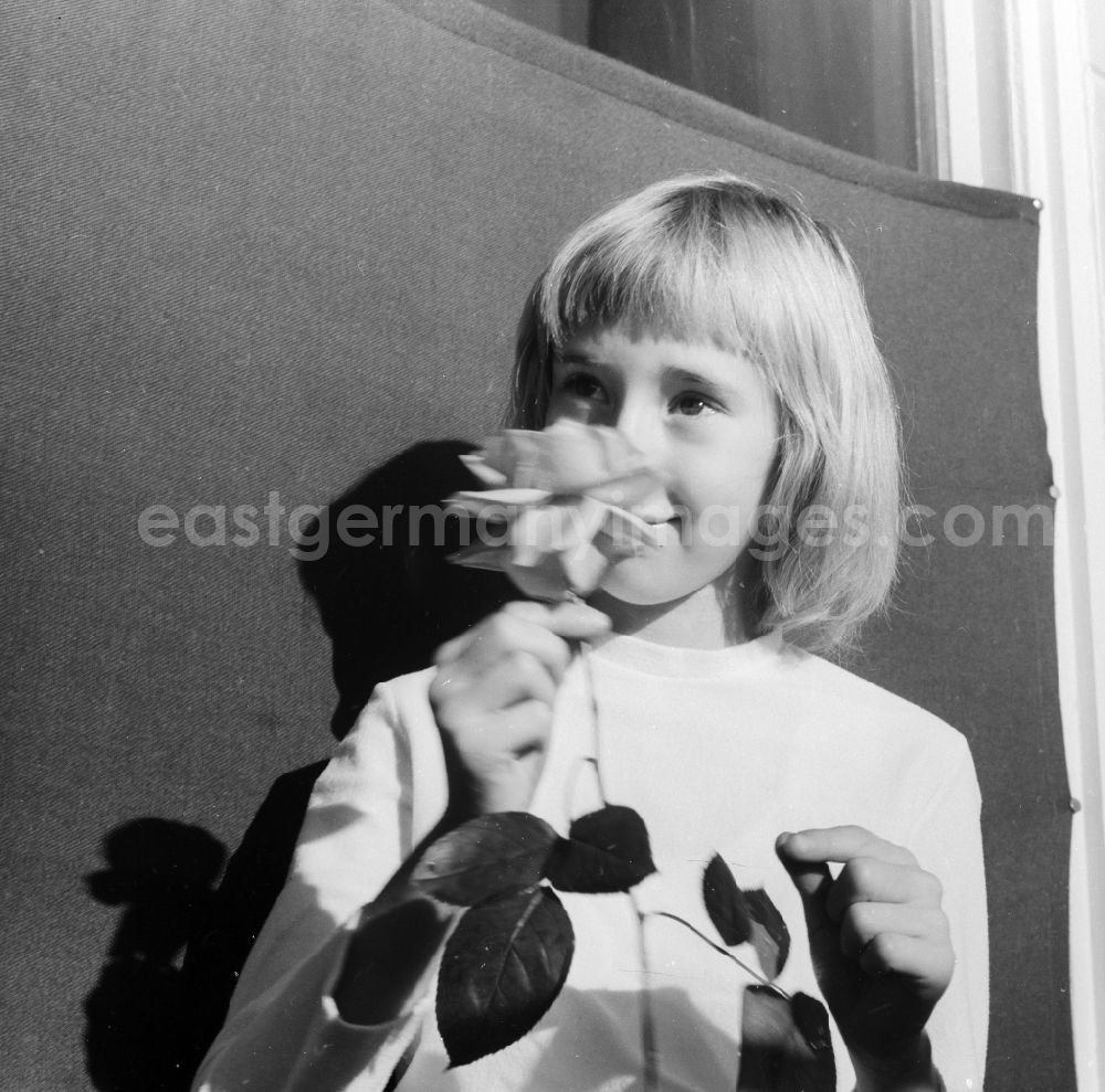 GDR photo archive: Berlin - Girl with a rose in her hand in Berlin, the former capital of the GDR, German Democratic Republic