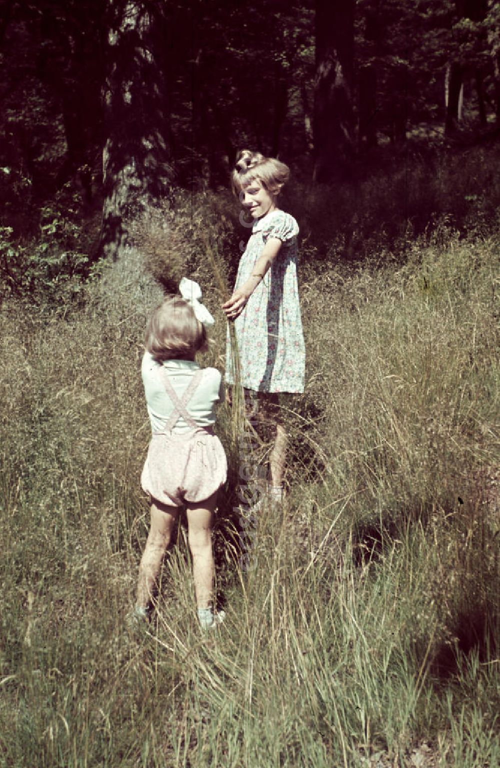 GDR picture archive: Siegen - Mädchen spielen auf einer Wiese in Siegen-Weidenau. Girls are playing on a meadow.