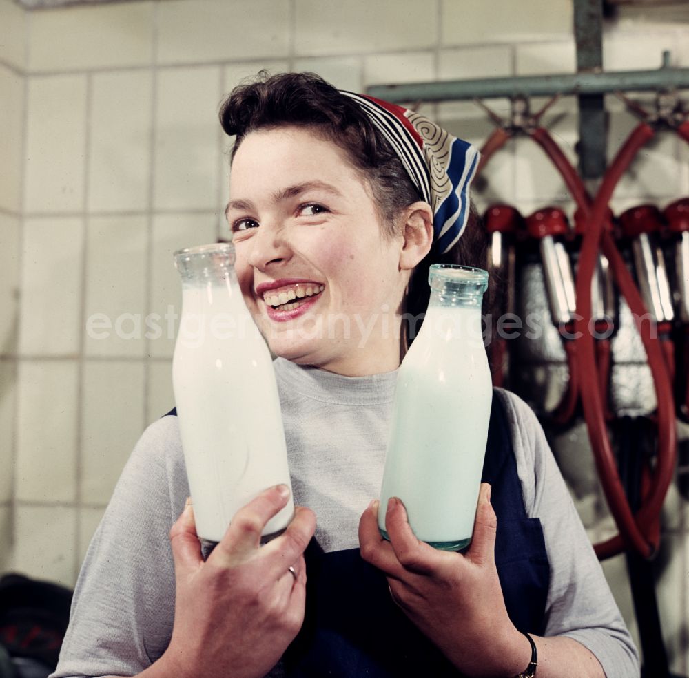 GDR picture archive: Döbeln - A young milkmaid of a Saxon agricultural production cooperative (LPG) presents milk in glass bottles in Doebeln, Saxony in the territory of the former GDR, German Democratic Republic