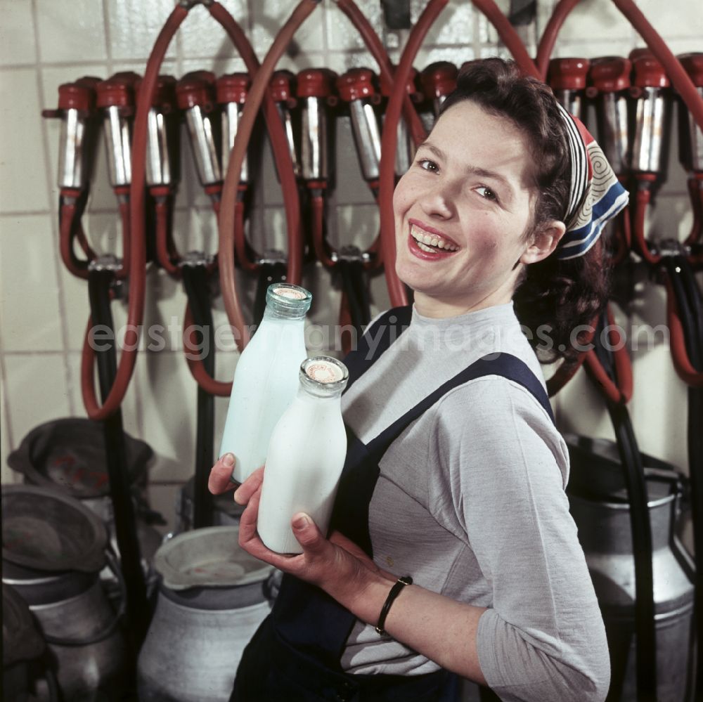Döbeln: A young milkmaid of a Saxon agricultural production cooperative (LPG) presents milk in glass bottles in Doebeln, Saxony in the territory of the former GDR, German Democratic Republic