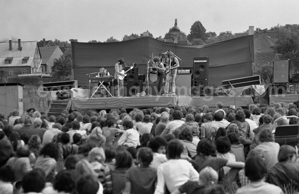 GDR photo archive: Wanzleben-Börde - People at an open-air concert of the Puhdys in Wanzleben-Boerde, Saxony-Anhalt in the area of the former GDR, German Democratic Republic